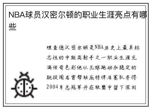 NBA球员汉密尔顿的职业生涯亮点有哪些